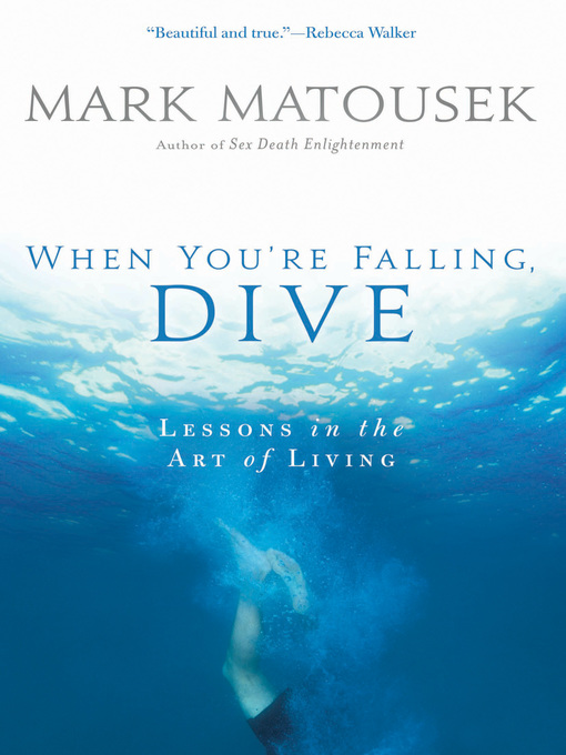Cover image for When You're Falling, Dive